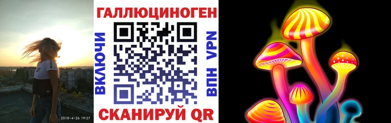 как найти наркотики  мега как зайти  Галлюциногенные грибы Psilocybine cubensis  Камызяк 